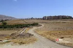 تخریب باغات