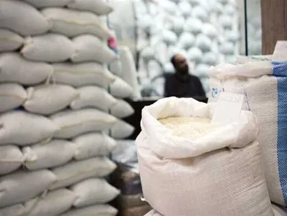 سقوط قیمت برنج ایرانی در راه است؟
