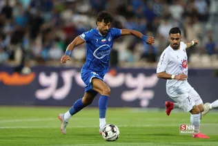 دبب