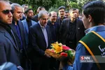 نجفی 