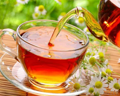 نوشیدن چای بر سلامت مغز تاثیر مثبت دارد