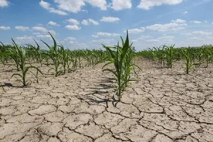 کاهش ۶۹ درصدی بارش&zwnj;ها در چهارمحال و بختیاری