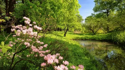 مناسبت&zwnj;ها و تعطیلی&zwnj;های تقویم خرداد ۱۴۰۴