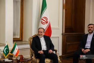 دیدار وزیر کشور پاکستان با وزیر امورخارجه جمهوری اسلامی ایران
