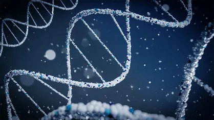 استخراج DNA با وزن مولکولی فوق&zwnj;العاده بالا تسهیل می&zwnj;شود
