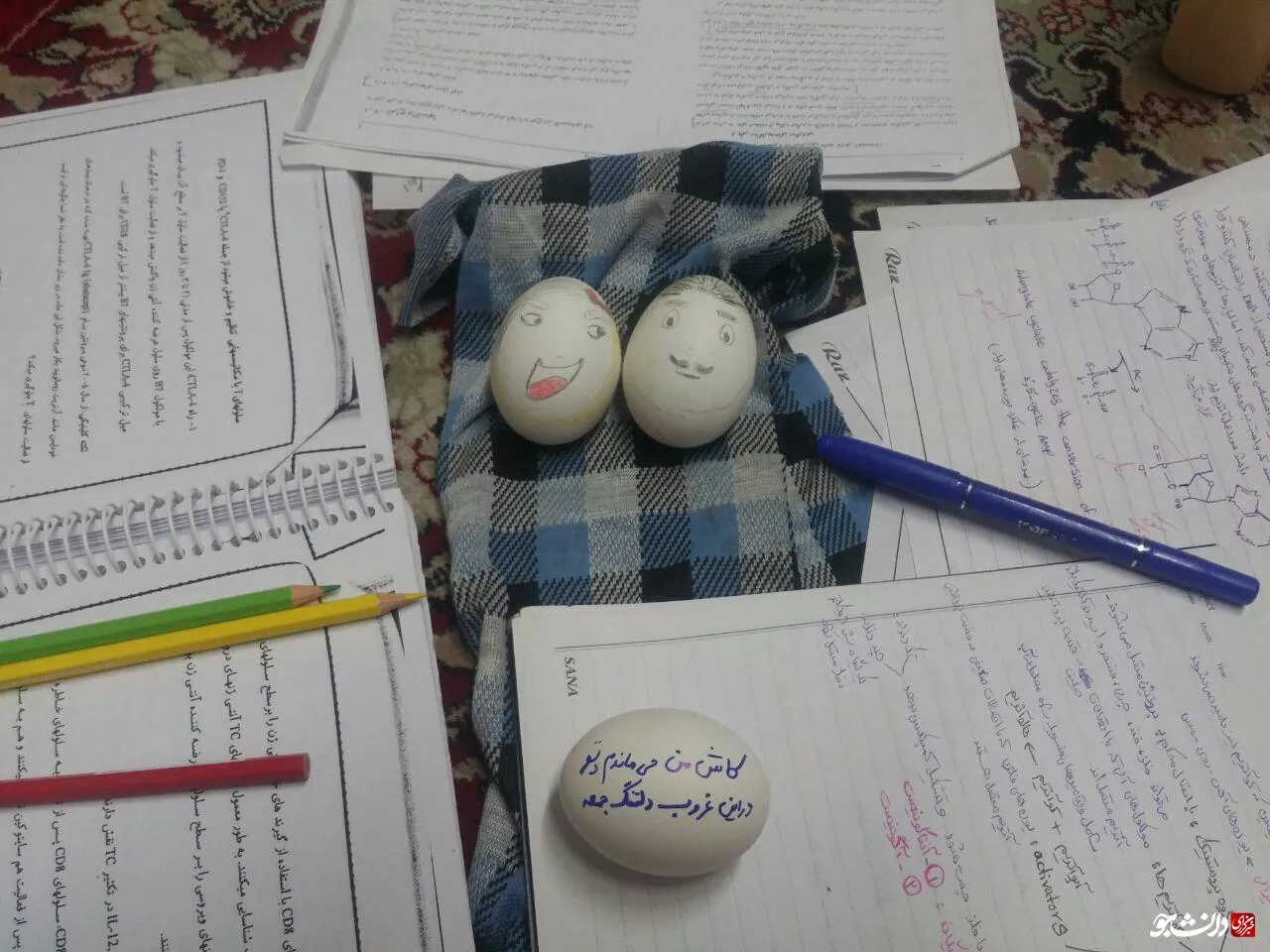 شب امتحان