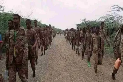 بیش از ۱۶۰ نظامی ارتش اتیوپی در حمله تروریست&zwnj;ها کشته شدند