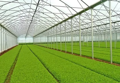 کلیات طرح اصلاح قانون تضمین خرید محصولات کشاورزی تصویب شد