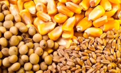 افزایش ۲۰ درصدی واردات نهاده&zwnj;های دامی