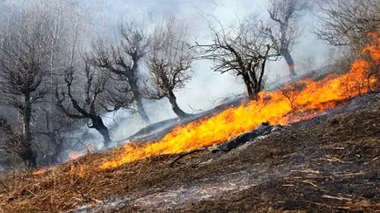 مهار شدن آتش&zwnj;سوزی در ۲ هکتار از اراضی ملی آمل