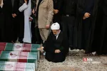 شهدا