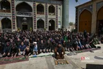 ثب