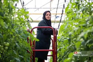 افتتاح فاز سوم طرح توسعه گلخانه پنجاه هکتاری