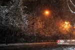 بارش برف در تهران