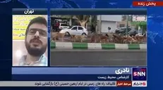 کارشناس محیط زیست: غذادادن به سگ‌های ولگرد در کشورهای اروپایی جریمه و مجازات دارد