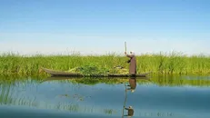 حقابه تالاب‌ها باید اولویت باشد