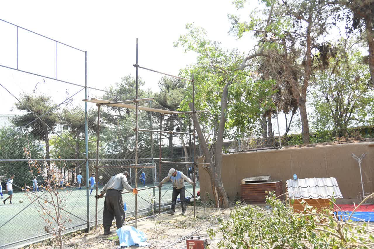 درخت