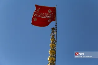 شیرخوارگان