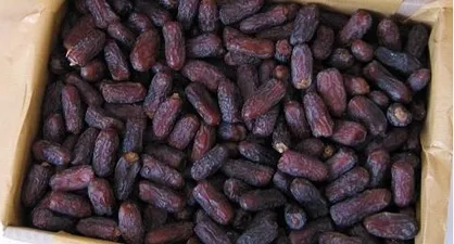 تریاک جاسازی شده در خرما کشف شد