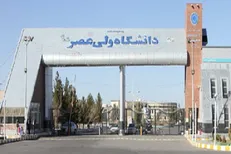 کسب مدال توسط دانشجویان دانشگاه ولی عصر (عج) رفسنجان در مسابقات کاراته