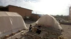 انتقاد یک نماینده مجلس به عدم کمک سلبریتی‌ها به زلزله زدگان