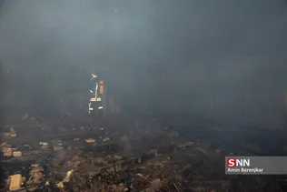 sff