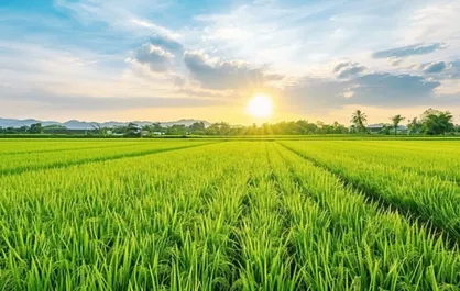 پایداری هوای گیلان تا سه شنبه