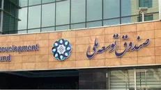 صندوق توسعه ملی ۲۰۰ میلیون دلار برای صنایع تکمیلی پتروشیمی اختصاص داد