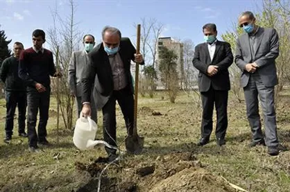 کاشت ۲۵۰ اصله نهال در دانشگاه مازندران