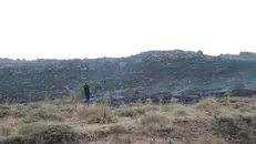 آتش‌سوزی مراتع تالاب نئور مهار شد