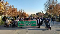 شرکت ۲۰ درصد افراد دارای معلولیت تهران در رویداد برنده شو