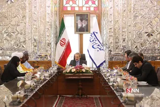دیدار علی لاریجانی با نایب رئیس مجلس نیجریه