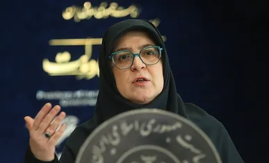 آخرین جزئیات تغییر نرخ و حجم بنزین سهمیه‌ای از زبان سخنگوی دولت