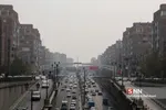شثل