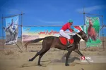 مسابقات سوارکاری 