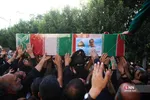 دبب