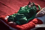 همایش شیرخوارگان حسینی در شیراز