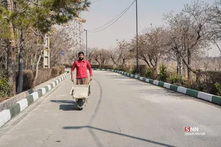 New