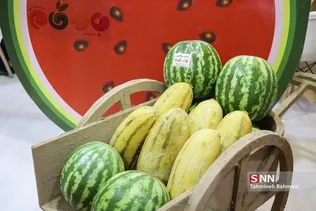 بیست و پمجمین نمایشگاه الکامپ