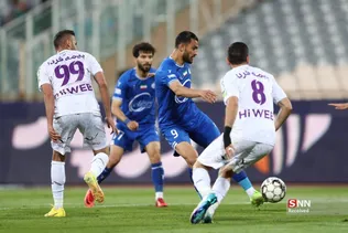 دبب