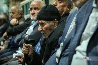 دبب