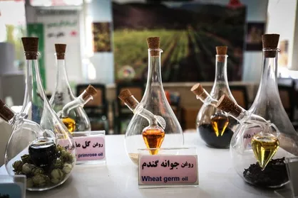 ششمین دوره جشنواره گیاهان دارویی امروز آغاز به کار کرد / حضور ۲۴۰ شرکت فناور و دانش&zwnj;بنیان