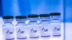 واکسن نورا کجا تزريق می شود؟