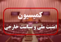 جلسه فوق العاده کمیسیون امنیت ملی مجلس در پی شهادت سردار موسوی
