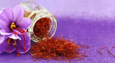 آشنایی با خواص یک گیاه، با عطری بی نظیر