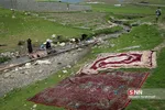 سیل5