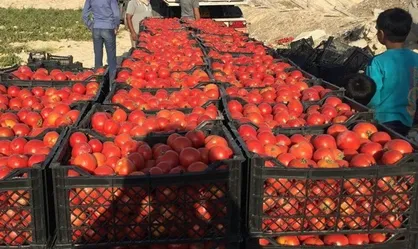 رای دیوان عدالت اداری در باره طرح بسیار مهم وزارت جهاد