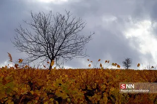 fall