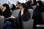 دانشگاه