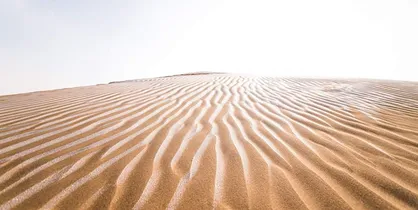 اختصاص ۳۷ میلیارد تومان به پروژه های بیابان&zwnj;زدایی در استان سیستان و بلوچستان